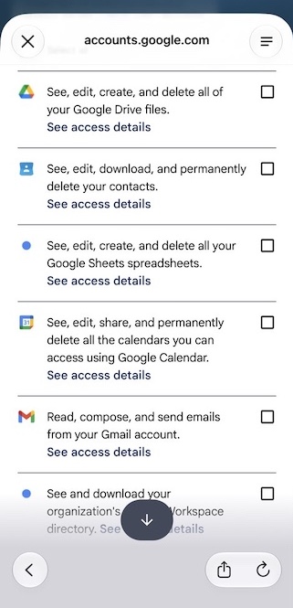 Google-Zustimmungsbildschirm eines KI-Agenten, der Zugriff auf Drive, Kontakte, Sheets, Kalender, Gmail und das Workspace-Verzeichnis verlangt